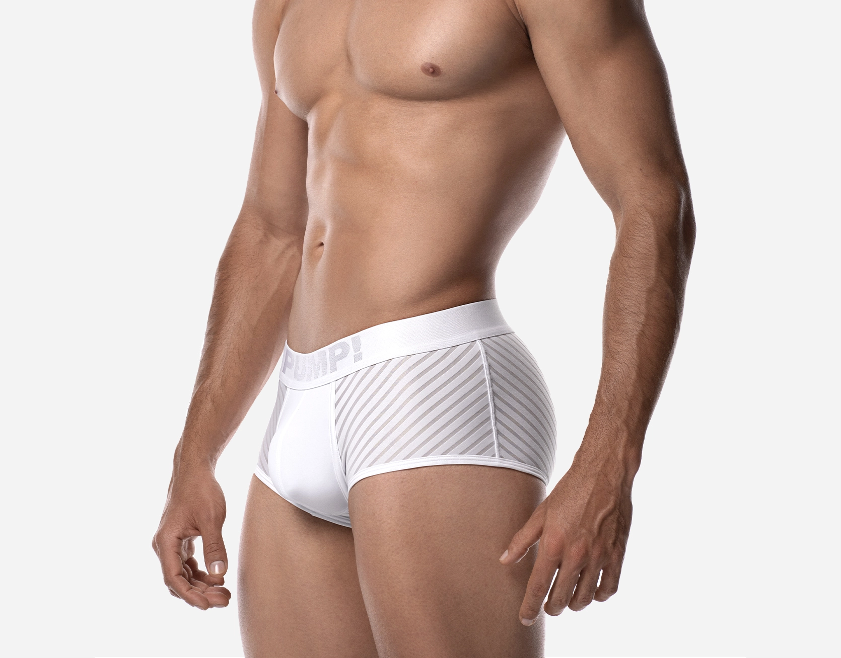 Whisper White Boxer - Image 2