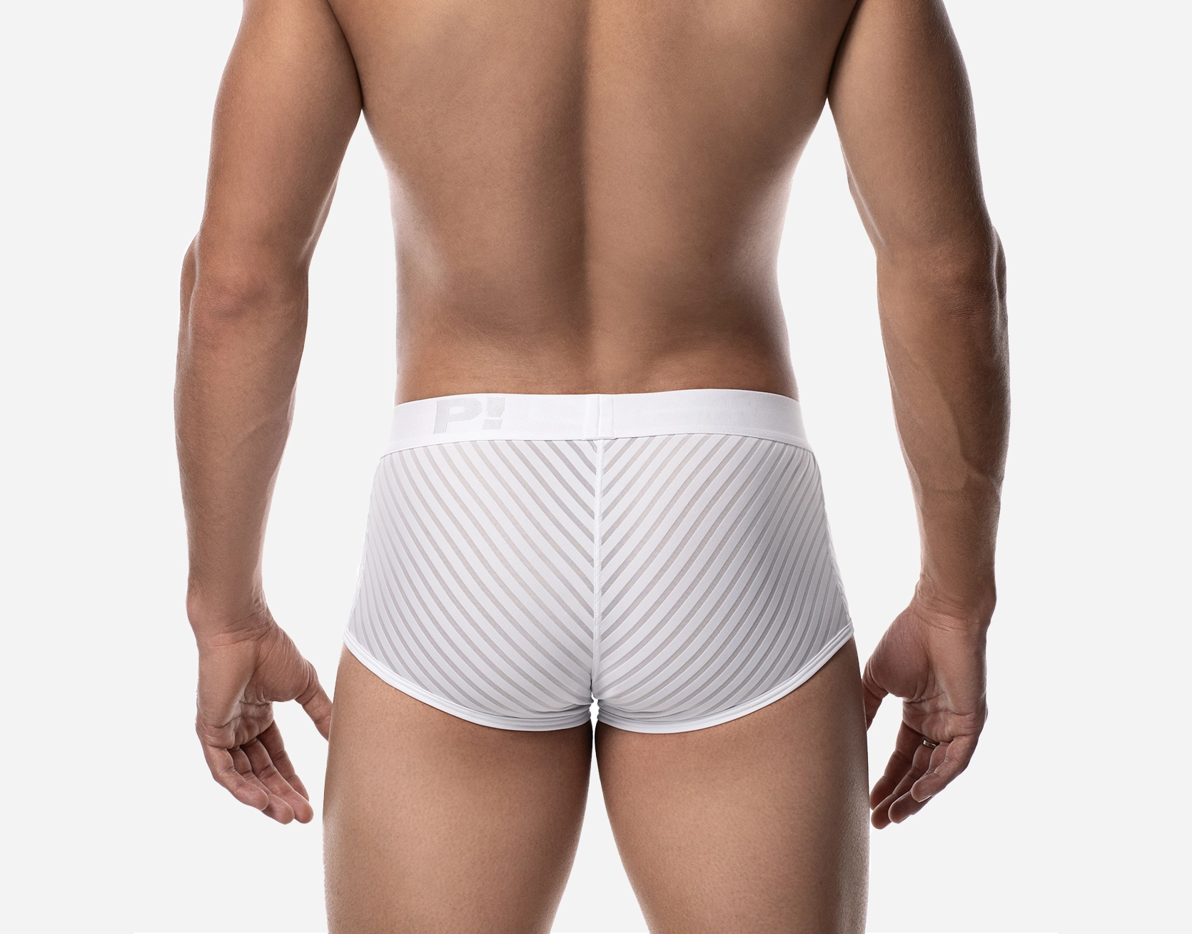 Whisper White Boxer - Image 3